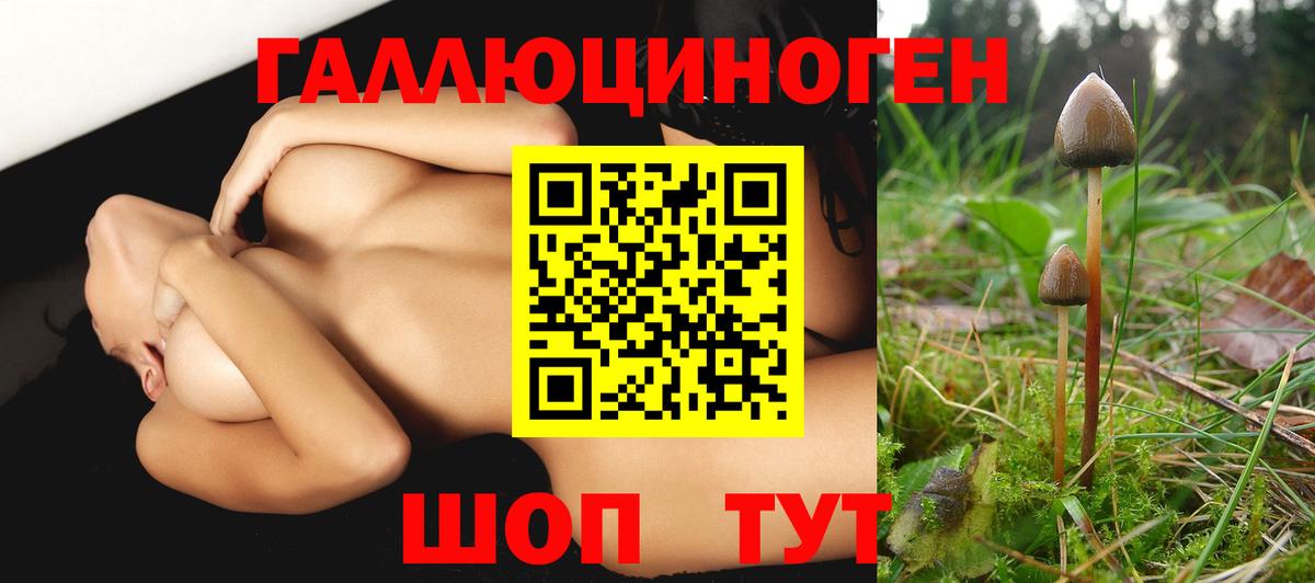 Галлюциногенные грибы ЛСД  Вход с VPN  купить наркоту  Псилоцибиновые грибы GOLDEN TEACHER  Мурманск 